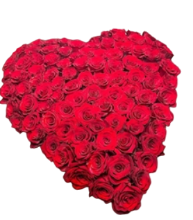 100 red roses in heart shape gift