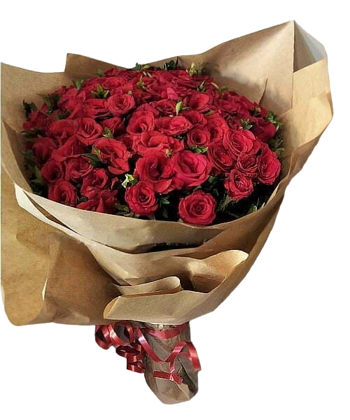 5 dozen red roses to pakistan